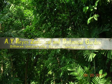THE 10 BEST Zoos & Aquariums in Philippines (Updated 2024).
